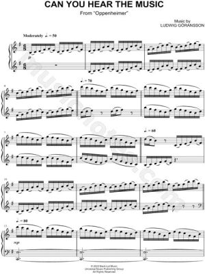 Can You Hear the Music in the Sheet Music for Violin? An Insight into the Beauty of Violin Music