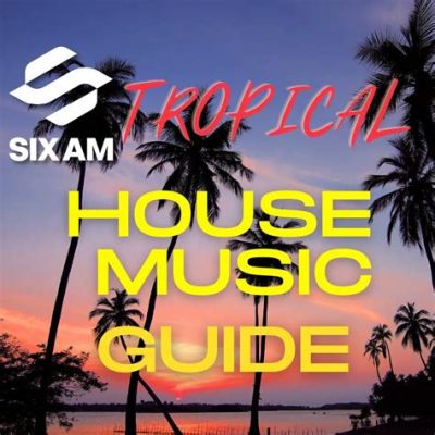 What is Tropical House Music? An Exploration of Its Essence and Enigma