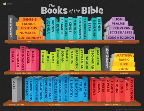 Which Bible Has All the Books? An In-depth Exploration